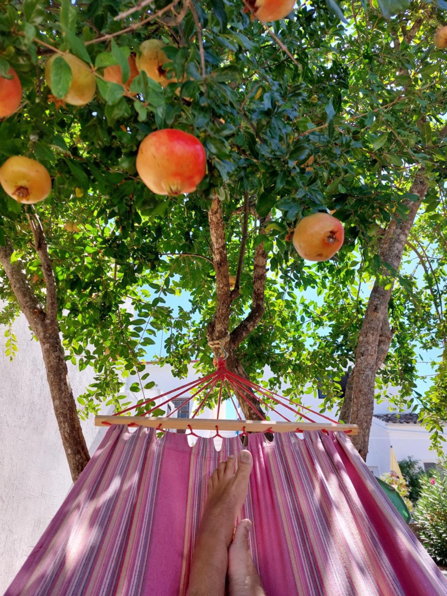 "Oliveiras" Appartement Typique Avec Terrasse Et Piscine โลว์เล ภายนอก รูปภาพ